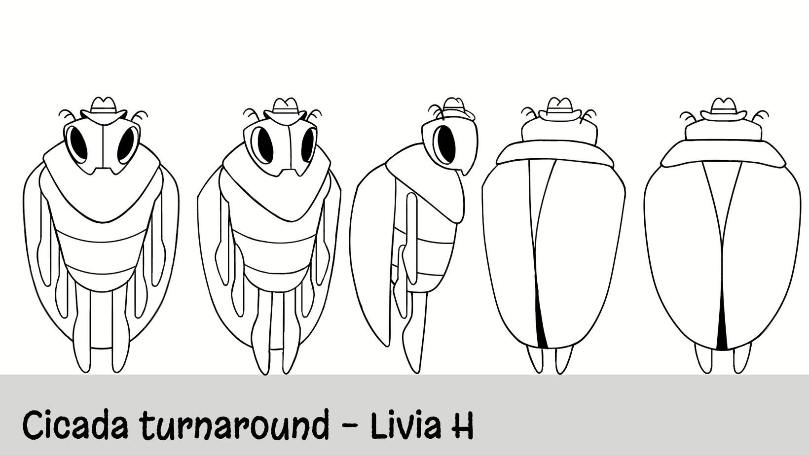Cicada - Turnaround Cicada - Turnaround