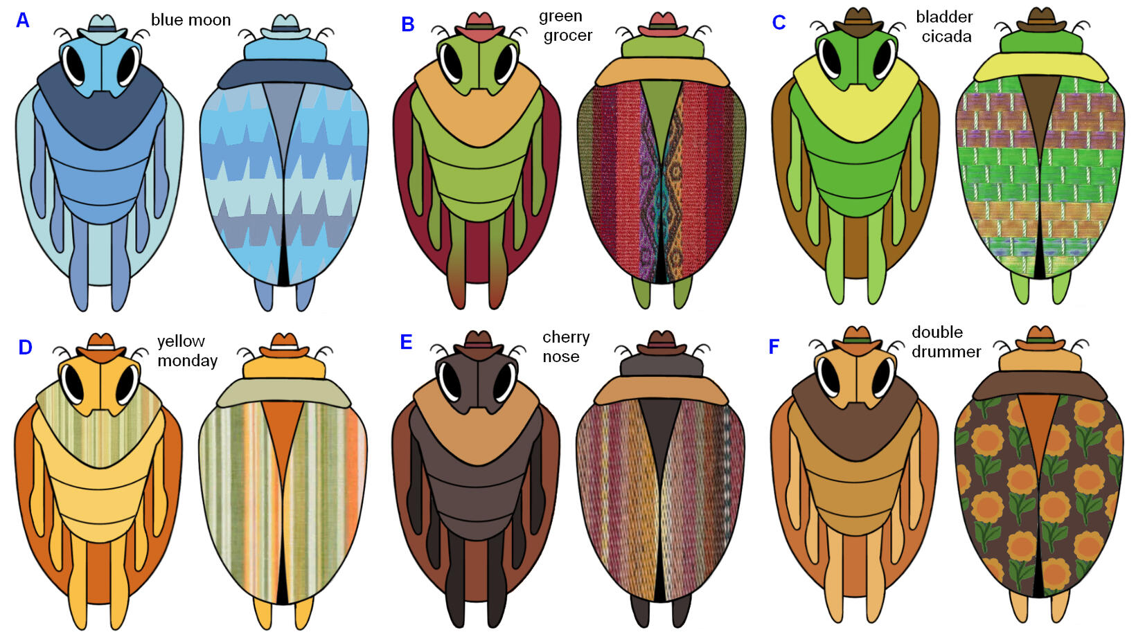 Cicada - Colour tests